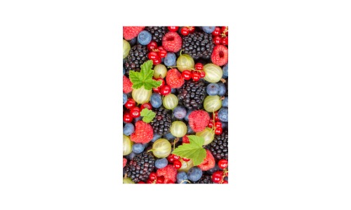 Banner ALt 6